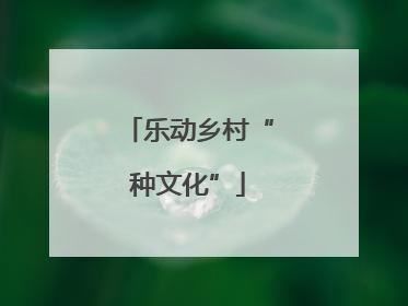 乐动乡村“种文化”